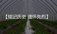 【铭记历史 缅怀先烈】广东博罗	
：传承抗战精神 加快推动高质量发展