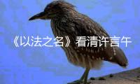 《以法之名》看清许言午的神秘身份，才懂江敏对洪亮的算计有多狠