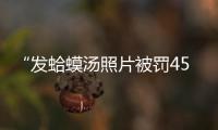 “发蛤蟆汤照片被罚45万”后续：餐馆老板已提起行政诉讼