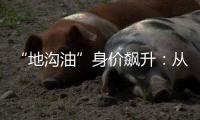 “地沟油”身价飙升：从餐厨废油到“减碳明星”