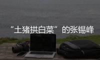 “土猪拱白菜”的张锡峰
：浙大毕业却两手空空，被南科大老师调侃