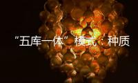“五库一体”模式：种质资源保存的创新之举