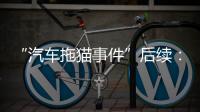 “汽车拖猫事件”后续：三人造谣网暴被行拘