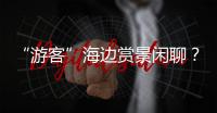 “游客”海边赏景闲聊
？可能是间谍乔装刺探军情