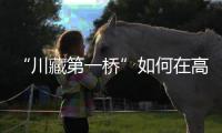 “川藏第一桥”如何在高地震烈度区和“12级大风”中屹立？