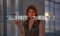 “远洋捕捞”为哪般？丨法眼