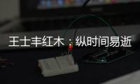王士丰红木：纵时间易逝	，唯经典永流传