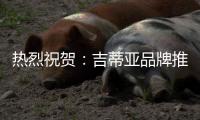 热烈祝贺：吉蒂亚品牌推广暨工艺比武大赛(玉林站)圆满落幕