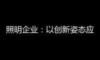 照明企业	：以创新姿态应对逆境 提升附加值