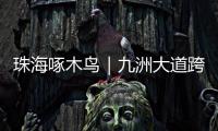 珠海啄木鸟｜九洲大道跨白石路桥要怎么走�？网友建议
�：均可直行�，请勿逗留！
