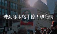 珠海啄木鸟｜惊�！珠海情侣南路附近海面发现“油污”？真相竟是……