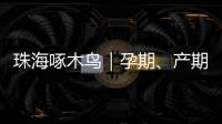 珠海啄木鸟｜孕期、产期、哺乳期不可辞退  勇敢向“三期”侵权说“不”
！