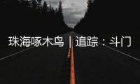 珠海啄木鸟｜追踪：斗门区乾务片区排水管建设工程 项目缺口资金已到位 力争今年年底完工
