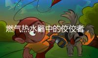 燃气热水器中的佼佼者，用先进技术解决洗浴烦恼