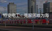 特变电工：克服困难为海 外居民带去福音
