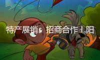 特产展销、招商合作	！阳西把商务服务中心建在斗门
