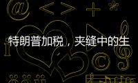 特朗普加税，夹缝中的生意人怎么办？