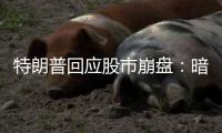 特朗普回应股市崩盘：暗示自己是“故意” ，喊话美国人民“挺住”