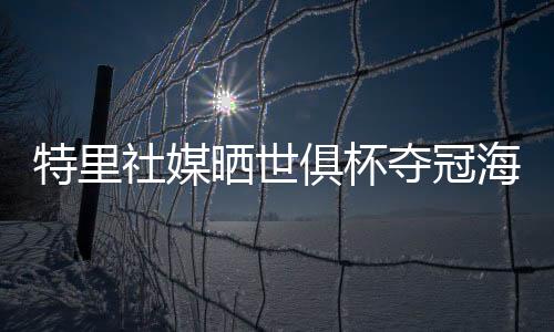 切尔西名宿、特里赢得冠军