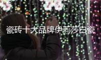 瓷砖十大品牌伊莉莎白瓷砖新品上市，让空间更大气