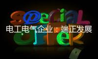 电工电气企业	：端正发展态度 从长远角度出发