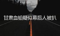 甘肃血铅疑似幕后人被扒，曾获地方女性大奖，与涉事园长关系亲属