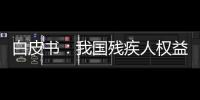 白皮书

：我国残疾人权益保障更加有力