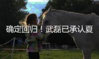 确定回归	！武磊已承认夏窗回归上海海港队
