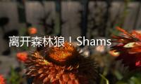 离开森林狼！Shams：凯尔特人2年550万签下卢卡