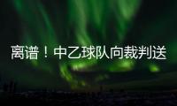 离谱！中乙球队向裁判送礼品遭举报+被罚款10万 球迷：送的挂历吧