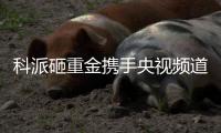科派砸重金携手央视频道，厨卫市场再掀波澜