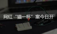 网红“猫一杯”案今日开庭，曾编造“秦朗巴黎丢寒假作业”被封号