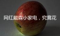 网红戴森小家电
，究竟花落谁家？