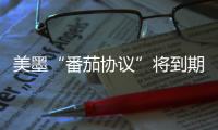 美墨“番茄协议”将到期 美经销商：关税将导致番茄涨价
