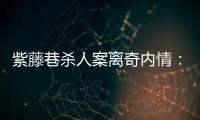 紫藤巷杀人案离奇内情：四个专案组与警界“内鬼”