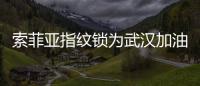索菲亚指纹锁为武汉加油
�：樱花樱花
，我想守护你