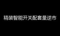 精装智能开关配套量逆市大增，市场前景可观