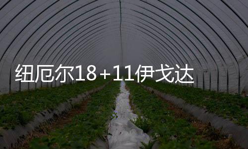纽厄伍德10分5篮板5盖帽