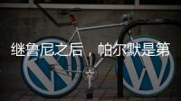 继鲁尼之后
，帕尔默是第二位在世俱杯夺得金球奖的英格兰球员