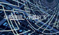 华盈照明�：小雪纷飞	，“家”倍温暖