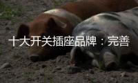 十大开关插座品牌：完善服务 成就行业优质品牌