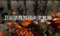 卫浴洁具推动未来发展：创新
、进军高端卫浴市场!