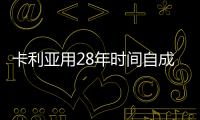 卡利亚用28年时间自成一派，全钢派!