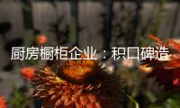厨房橱柜企业：积口碑造精品 重营销讲服务