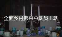 全面乡村振兴总动员！动画解读2021中央一号文件