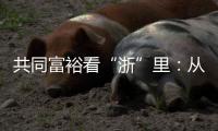 共同富裕看“浙”里：从脱贫到共富 “浙”里有一份秘笈待领取