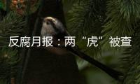 反腐月报：两“虎”被查
，三“虎”受处分