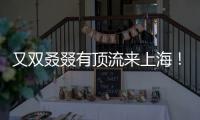 又双叒叕有顶流来上海！商场5层全部挤满，有人凌晨3点到门口排队.......