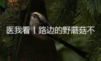 医我看丨路边的野蘑菇不要采！花色难辨 毒藏其间