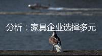 分析：家具企业选择多元化发展还是专业化道路?